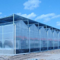 High-tech control glass hydroponic greenhouse for sale